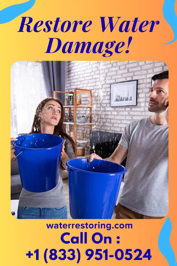 water restoration Hawk Water Repair Professionals Kaaawa